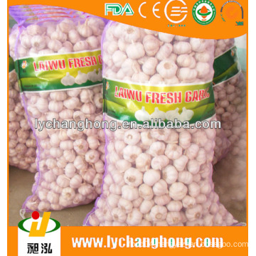 China agriculture foodstuff quality natural garlic